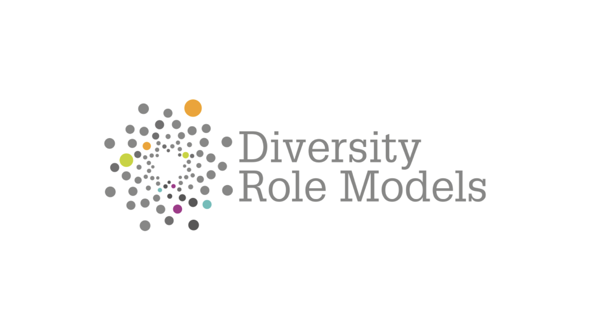 Diversity Role Models - Square Logo